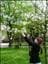 Celine-